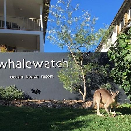פוינט לוקאאוט Whale Watch Ocean Beach Resort מראה חיצוני תמונה